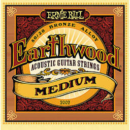 Ernie Ball Earthwood Acoustic (2002)