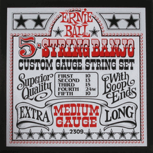 Ernie Ball Banjo Strings (2309)